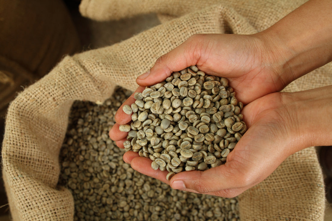 Superfood Alert! Green Coffee Beans