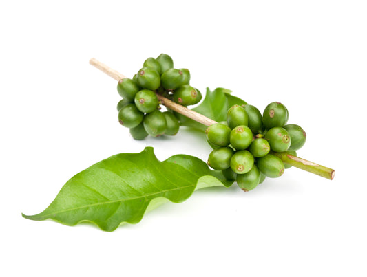 The benefits of natural green coffee bean caffeine